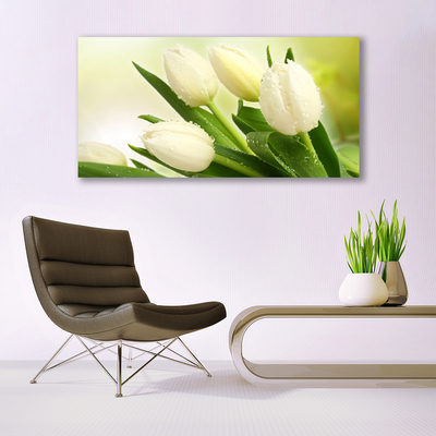 Glazen schilderij Tulpen bloemen plant