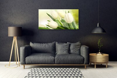 Glazen schilderij Tulpen bloemen plant