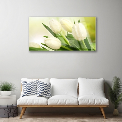 Glazen schilderij Tulpen bloemen plant