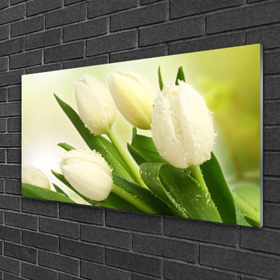 Glazen schilderij Tulpen bloemen plant