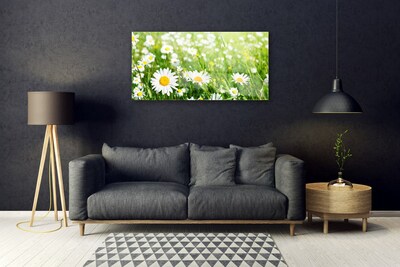 Glazen schilderij Daisy flower plant