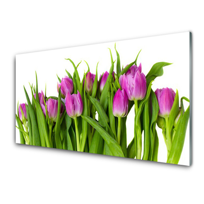 Glazen schilderij Tulpen bloemen plant