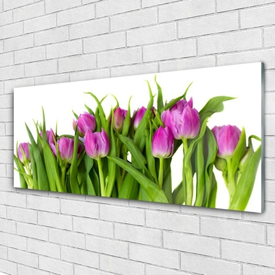 Glazen schilderij Tulpen bloemen plant