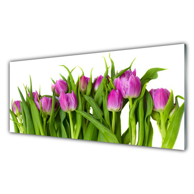Glazen schilderij Tulpen bloemen plant