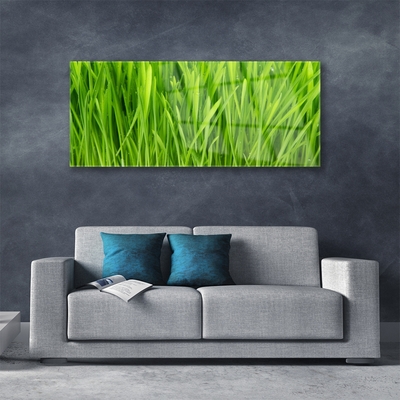 Glazen schilderij Grass nature plant