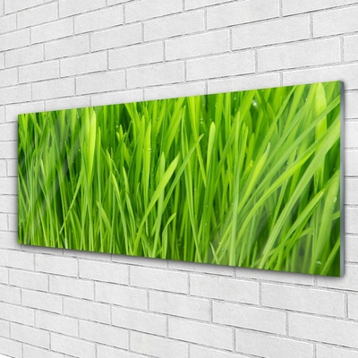 Glazen schilderij Grass nature plant