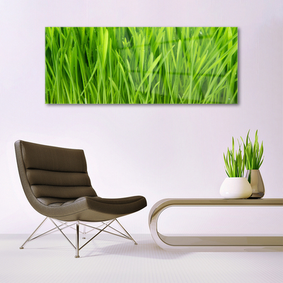 Glazen schilderij Grass nature plant