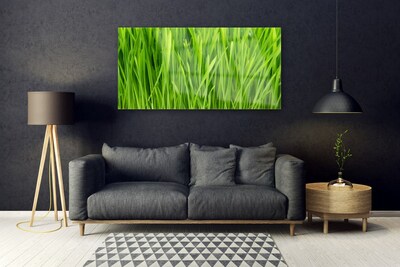 Glazen schilderij Grass nature plant