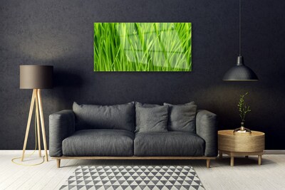 Glazen schilderij Grass nature plant