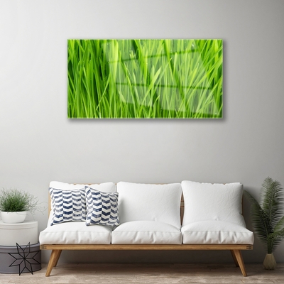 Glazen schilderij Grass nature plant