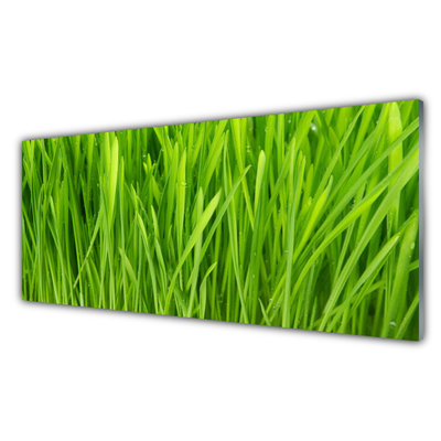 Glazen schilderij Grass nature plant