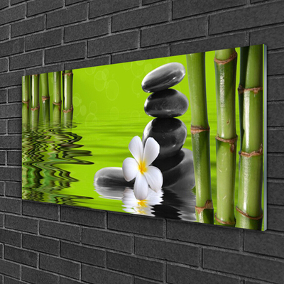 Glazen schilderij Stones installatie van het bamboe