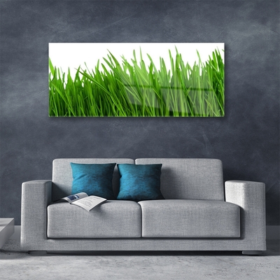 Glazen schilderij Grass nature plant