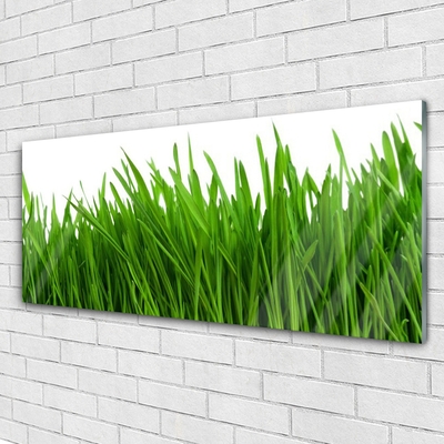 Glazen schilderij Grass nature plant