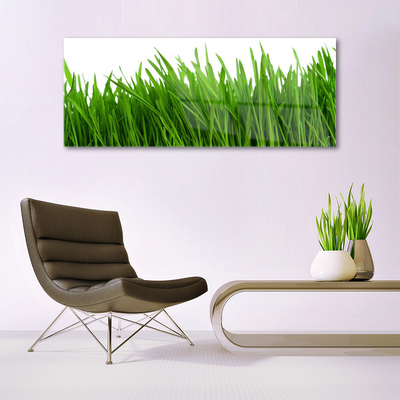 Glazen schilderij Grass nature plant