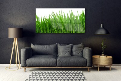 Glazen schilderij Grass nature plant