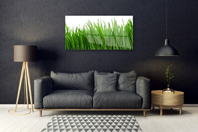 Glazen schilderij Grass nature plant