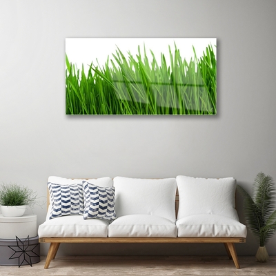 Glazen schilderij Grass nature plant