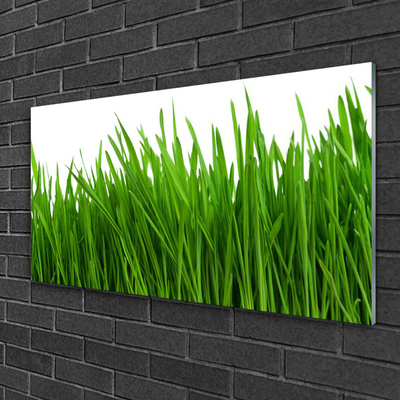 Glazen schilderij Grass nature plant