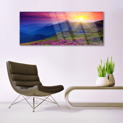 Glazen schilderij Flower mountain meadow landscape