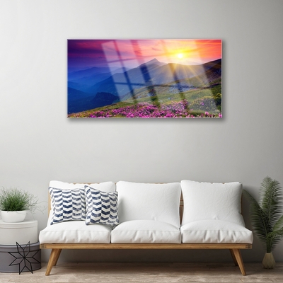 Glazen schilderij Flower mountain meadow landscape