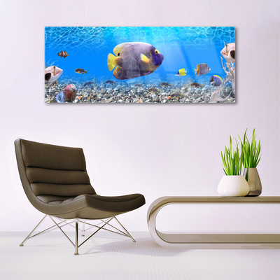 Glazen schilderij Fish natuur