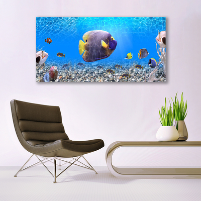 Glazen schilderij Fish natuur