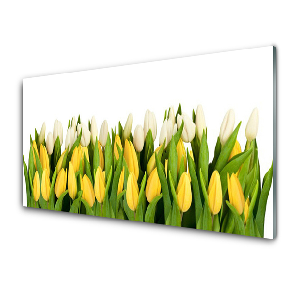 Glazen schilderij Tulpen bloemen plant