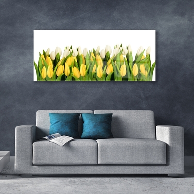 Glazen schilderij Tulpen bloemen plant