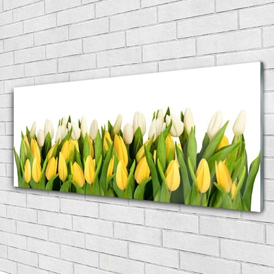 Glazen schilderij Tulpen bloemen plant