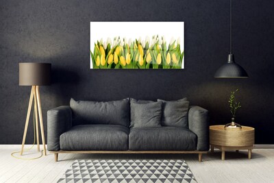 Glazen schilderij Tulpen bloemen plant