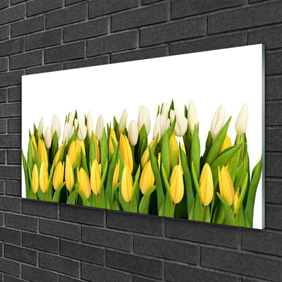 Glazen schilderij Tulpen bloemen plant