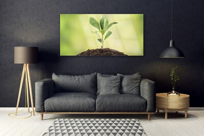 Glazen schilderij Earth plant groei