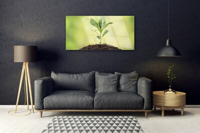 Glazen schilderij Earth plant groei