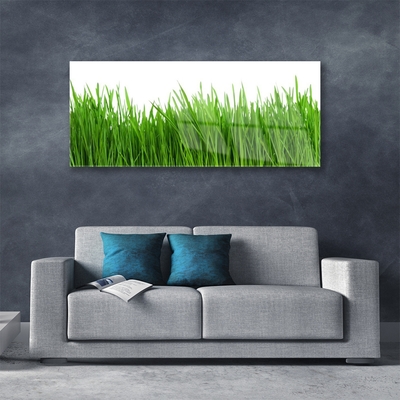 Glazen schilderij Grass nature plant