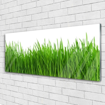 Glazen schilderij Grass nature plant