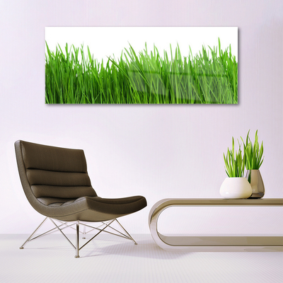 Glazen schilderij Grass nature plant