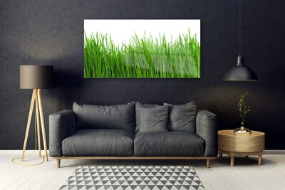 Glazen schilderij Grass nature plant