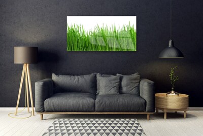 Glazen schilderij Grass nature plant