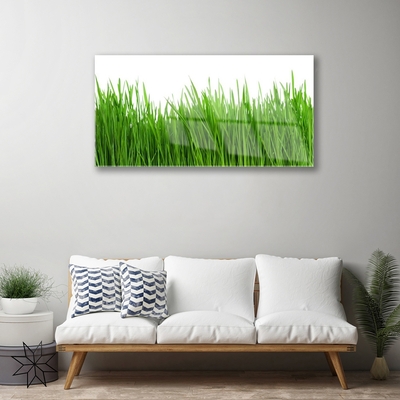 Glazen schilderij Grass nature plant