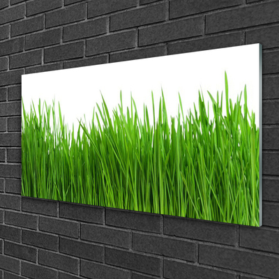 Glazen schilderij Grass nature plant