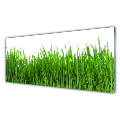 Glazen schilderij Grass nature plant