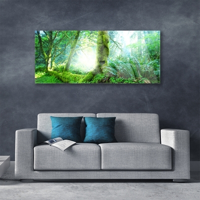 Glazen schilderij Forest moss nature