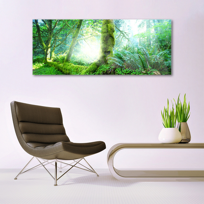 Glazen schilderij Forest moss nature