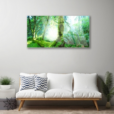 Glazen schilderij Forest moss nature