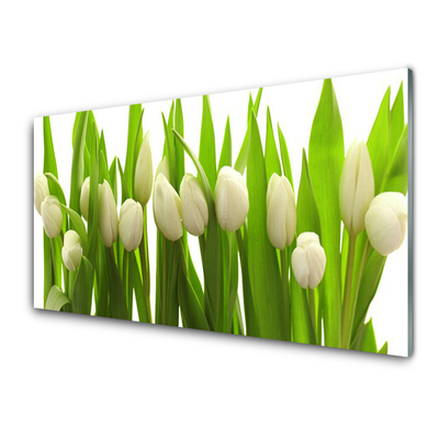 Glazen schilderij Tulpen bloemen plant