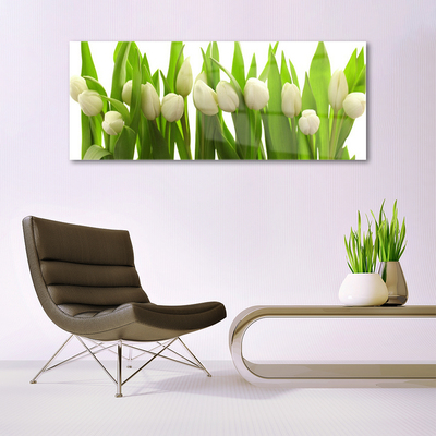 Glazen schilderij Tulpen bloemen plant