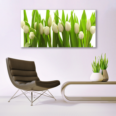 Glazen schilderij Tulpen bloemen plant