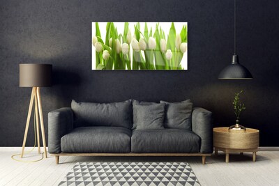 Glazen schilderij Tulpen bloemen plant