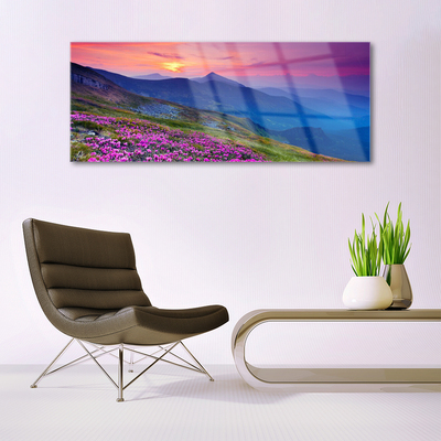 Glazen schilderij Mountain meadow flowers landscape